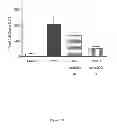 Fig. 16 - Compositions and Methods for the Treatment of Lung Inflammation