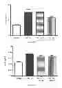 Fig. 17 - Compositions and Methods for the Treatment of Lung Inflammation