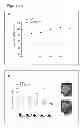 Fig. 02 - BOOSTING IMMUNE DEFENSE BY UPREGULATING CCAAT/ENHANCER BINDING PROTEIN EPSILON