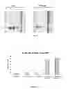 Fig. 07 - Method of reducing biofilms