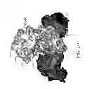 Fig. 147 - ANTIGEN BINDING PROTEINS TO PROPROTEIN CONVERTASE SUBTILISIN KEXIN TYPE 9 (PCSK9)