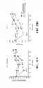 Fig. 95 - ANTIGEN BINDING PROTEINS TO PROPROTEIN CONVERTASE SUBTILISIN KEXIN TYPE 9 (PCSK9)