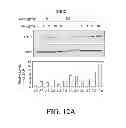 Fig. 99 - ANTIGEN BINDING PROTEINS TO PROPROTEIN CONVERTASE SUBTILISIN KEXIN TYPE 9 (PCSK9)