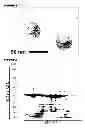 Fig. 02 - HYPERBLEBBING SHIGELLA STRAINS
