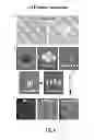 Fig. 07 - Treatment methods utilizing stem cell mobilizers and immunosuppressive agents