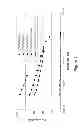 Fig. 02 - Methods of manufacturing viscous liquid pharmaceutical formulations