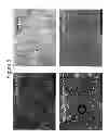 Fig. 07 - Methods of manufacturing viscous liquid pharmaceutical formulations