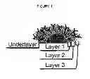 Fig. 02 - DEVICES FOR DETECTION OF ANALYTES