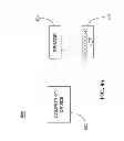 Fig. 08 - DEVICES FOR DETECTION OF ANALYTES