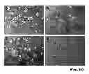 Fig. 09 - Cross-linking agents for hydrogels that contain cleavable peptides and short-chain polymers