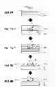Fig. 09 - Manufacturing method of semiconductor device