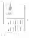 Fig. 20 - Mobile dynamic advertisement creation and placement