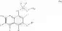 Fig. 05 - Aminoquinoline Derivatives