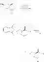 Fig. 49 - Synthesis of pyrrolidine compounds