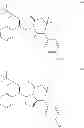 Fig. 33 - β3 adrenergic receptor agonists