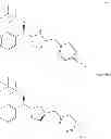 Fig. 41 - β3 adrenergic receptor agonists