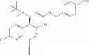 Fig. 46 - β3 adrenergic receptor agonists