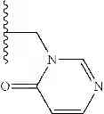Fig. 76 - β3 adrenergic receptor agonists