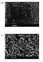 Fig. 01 - Method for the production of reinforced materials and reinforced materials obtained using this method