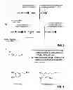 Fig. 04 - Method for the production of reinforced materials and reinforced materials obtained using this method