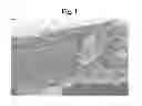 Fig. 02 - Rigid biofiber thermoplastic composite and articles made therefrom