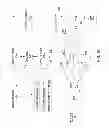 Fig. 02 - Invalidating streams in an operator graph
