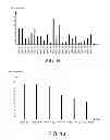 Fig. 09 - Automated search for detecting patterns and sequences in data using a spatial and temporal memory system