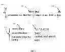 Fig. 02 - Automated File Name Generation