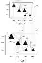 Fig. 06 - Method for exploring a catalog of digital information contents