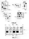 Fig. 08 - Method for exploring a catalog of digital information contents