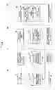 Fig. 07 - INFORMATION MANAGEMENT SYSTEM AND INFORMATION PROCESSING APPARATUS