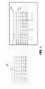 Fig. 04 - 2-D gather instruction and a 2-D cache