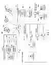 Fig. 02 - SYSTEMS AND METHODS FOR CREATING A CUSTOMIZED WEBSITE