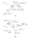 Fig. 02 - Online analysis and display of correlated information