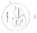 Fig. 02 - Restriction of program process capabilities