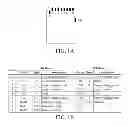 Fig. 02 - Wireless internet access module, communication method for host and wireless internet access module, and data card
