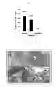 Fig. 08 - Hormone responsive tissue culture system and uses thereof