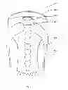 Fig. 02 - Facial cover
