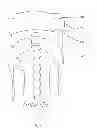 Fig. 06 - Facial cover