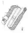 Fig. 07 - Sports Themed Belts and Method of Construction