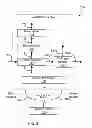 Fig. 04 - Laundry transport and pathogen containment apparatus and method