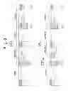Fig. 08 - Spark ignition type internal combustion engine