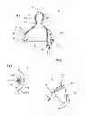 Fig. 02 - Bottle teat