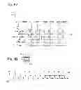 Fig. 07 - Pulse output circuit, shift register and display device