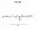 Fig. 48 - Amplifier circuit and feedback circuit