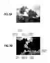 Fig. 06 - Image pickup apparatus having warning region detection related to dynamic range expansion