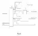 Fig. 03 - Method of image noise reduction
