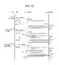 Fig. 22 - Display driver, operating method thereof, host for controlling the display driver, and system having the display driver and the host