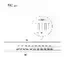 Fig. 16 - TELEVISION AND ELECTRONIC APPARATUS