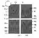 Fig. 01 - Liquid crystal display device